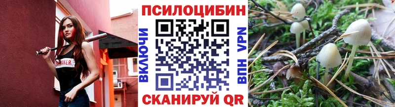 где можно купить наркотик  Азнакаево  Галлюциногенные грибы мухоморы 