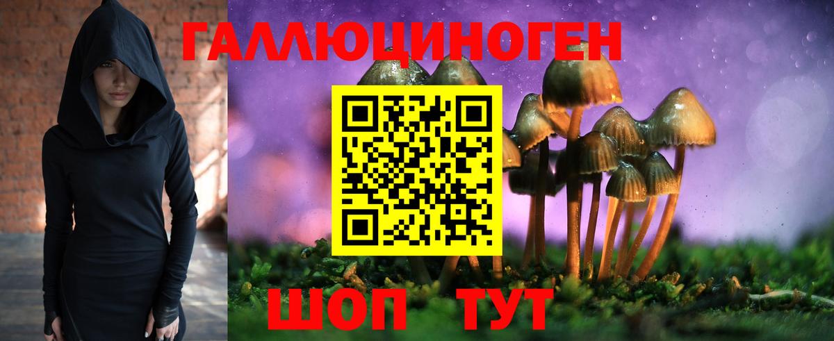 Азнакаево  Псилоцибиновые грибы Magic Shrooms  Вход с VPN  магазин продажи наркотиков  Псилоцибиновые грибы мухоморы 